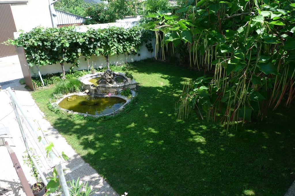 Gaestehaus Haider Illmitz Dış mekan fotoğraf
